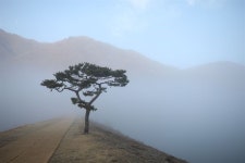 BTS 뮤비 찍은 곳…풍경이 예술, 완주를 완주하다