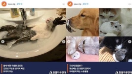 무심코 ‘좋아요’ 누른 사진, 알고 보면 동물학대?