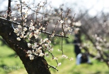 땅끝전망대... 에메랄드 빛 바다에 다도해 파노라마