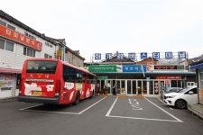 광양 매화ㆍ구례 산수유…봄꽃은 어김없이 피어 나건만