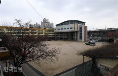 봄 꽃은 피었는데 학생은 아직… 개학 연기로 적막한 교정