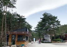 수목원 옆 커피공장…솔향ㆍ커피향 그리고 바다향