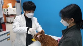 “올해 유기동물 250마리 치료, 가족 찾아 주겠다”