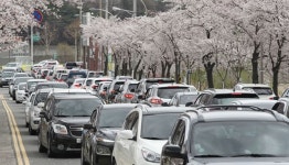 코로나도 못 막은 화사한 봄날… 탈출을 꿈꾼 사람들