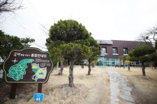 신안 4개 섬 봄꽃…올해는 온라인으로 감상하세요