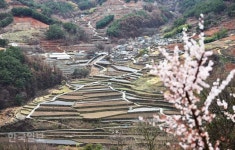 꽃은 내년에도 피어나리니…마주 보며 위로하는 지리산 마을