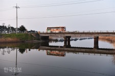 황금빛 물결 수놓은 ‘새만금 노을’… 넋을 빼앗고 마음의 허기 채우고