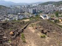 사업계획도 없이 “정자건립” 벌목부터… 구미시 황당행정 물의