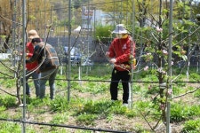 [인턴이 가봤다]“우리 농촌은 불법체류자라는 마약에 빠져 있었다”