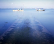 사진가 박일구, ‘바다로 가는 길’ 초대