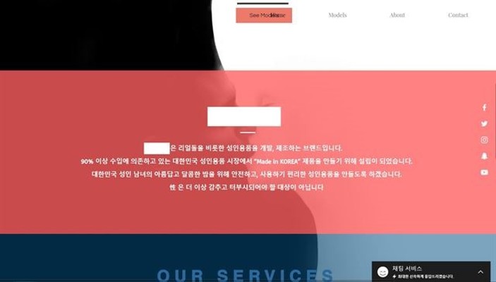 FC서울 마네킹 제공업체 “리얼돌은 맞지만…” 응원석 논란 팩트체크 | 포토뉴스