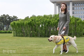 김예지 “장애 예술인 창작지원기금 시급… 여당에도 협조 구할 것”