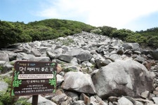 특별한 생일을 맞고 싶다면…남도의 작은 섬에서 꿈 같은 하루
