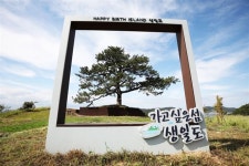 특별한 생일을 맞고 싶다면…남도의 작은 섬에서 꿈 같은 하루