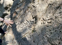 ‘십리벚꽃길’만 그립더냐, ‘천년차밭길’이 섭섭할라