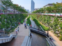 [걷고 싶은 길, 가고 싶은 거리] 카센터 거리에서 부천의 청계천으로...시민의 강 심곡천