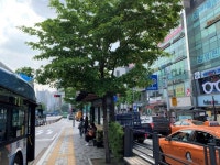 나무 ㆍ풀로 덮힌 버스정류장 무더위 쉼터 역할 톡톡