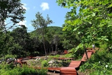 [시승여행] 재규어 I-페이스로 찾은 자연의 공간, DMZ 자생식물원