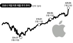 전세계 시총 1위 등극... '넘사'된 애플 괴력 언제까지?