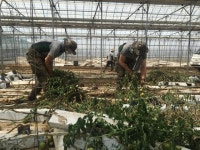 닷새 전 물에 잠겼던 철원 정연리 또 주민 대피령