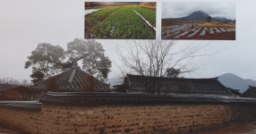 경북 의성 탑리버스정류장갤러리 세 번째 사진전