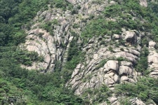 [자박자박 소읍탐방] 기생 두향 향한 퇴계의 그리움, 구담봉 석벽 겹겹이 서렸을까