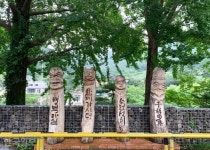 단양~영주 산비탈마다 사과가 주렁주렁...죽령 옛길 드라이브