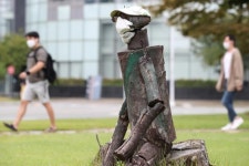 경기 평택 서울의원 간호사 등 3명 확진...박애병원 코호트 격리