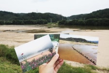 [박준규의 기차여행, 버스여행] 무섬마을 외나무다리는 사라졌지만...고즈넉한 정취는 그대로
