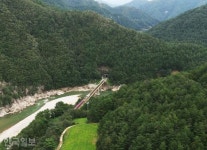[자박자박 소읍탐방] 그리움이 목구멍까지...낙동강 휘감아 돌면 고향 같은 간이역