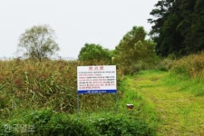 [자박자박 소읍탐방] 난개발 속 숨 쉴 공간...공룡알 200개가 500만평 습지 지켰다