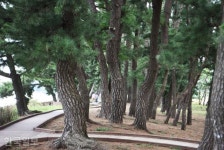 제부도의 추억, 궁평항 일몰, 매향리 아픔까지...화성 포구 기행