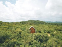 초원 위 통나무집, 정글 속 콘크리트 집에는 뭐가 있을까