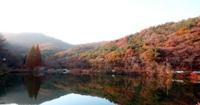 찬바람이 아쉬운 늦단풍... 이보다 더 화려할 순 없다