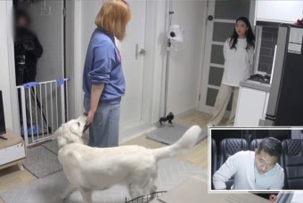 '개훌륭' 강형욱, 촬영 중 상황실 박차고 훈련장으로 달려간 이유는?