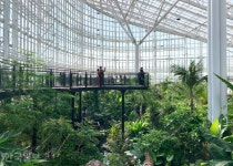 벌거벗은 수목원? 국내 최대 유리온실 안에 비밀의 정원이…