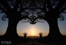 부여 인생사진 성지…성흥산성 사랑나무의 비밀