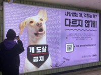 575명 뜻모아… 개 도살금지 광고 홍대입구역 등장