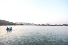 [박준규의 기차여행, 버스여행] 대구의 별미 진미…안지랑 곱창골목 vs 들안길 먹거리타운