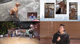 개훌륭 강형욱, 리드줄 거부犬 해결책 제시개농장 트라우마 극복 위해서...