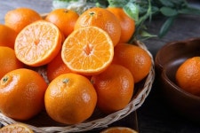 [이용재의 세심한 맛] 새콤달콤 제주 감귤 품종 94%는 일본에서 왔다