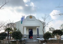 섬에 갇힌 바다, 배 대신 차로 간다…신안 천사섬 드라이브