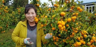 [이런 2막!] 새파랗게 젊은데 말에 번쩍... 제주서 귀농 정착 도와요