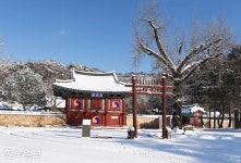 ‘옐로시티’에 홍길동? 백양사 눈꽃만 해도 넘치도록 곱더라