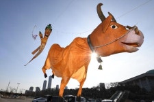 [펼쳐ZOOM] 전통 연 날리며 빌고 싶은 한가지 소원... 코로나19 끝!