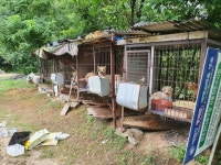 [애니로그] 유기동물 마취 없이 고통사… 처참한 지자체 보호소 실태