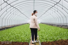 [밥상의 눈물] 농장주따라 갈리는 운명… 비극의 속헹이 나였을 수도