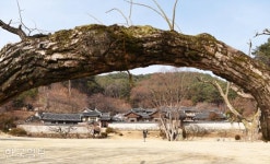 [자박자박 소읍탐방] 예의 따지는 양반 고을에...예술의 끼 충만한 호반 마을