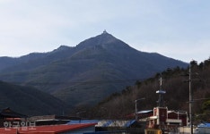 범 내려온 길 차로 오른다...출렁다리도 좋지만 숲 치유가 우선