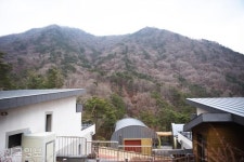 범 내려온 길 차로 오른다...출렁다리도 좋지만 숲 치유가 우선